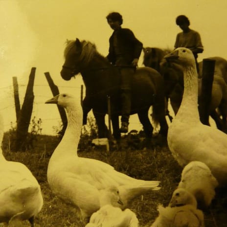 Archieffoto van De Vrijbuiter 3